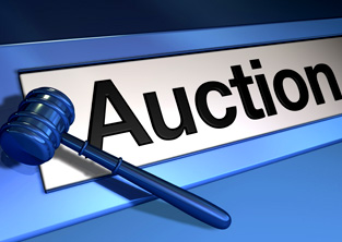 Auction Services